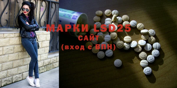 ГАЛЛЮЦИНОГЕННЫЕ ГРИБЫ Волосово
