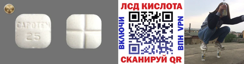 дарнет шоп  Лодейное Поле  Лсд 25 экстази кислота 