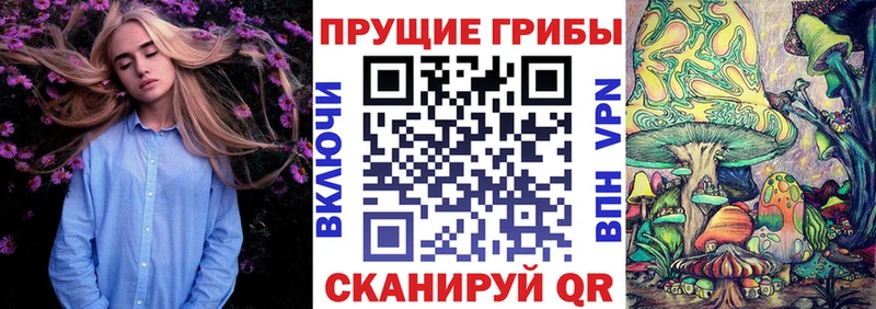 даркнет сайт  Лодейное Поле  кракен tor  Псилоцибиновые грибы мухоморы 