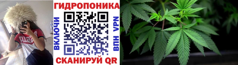 даркнет какой сайт  где купить   Лодейное Поле  МАРИХУАНА семена 